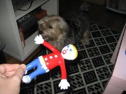 Mr. Bill